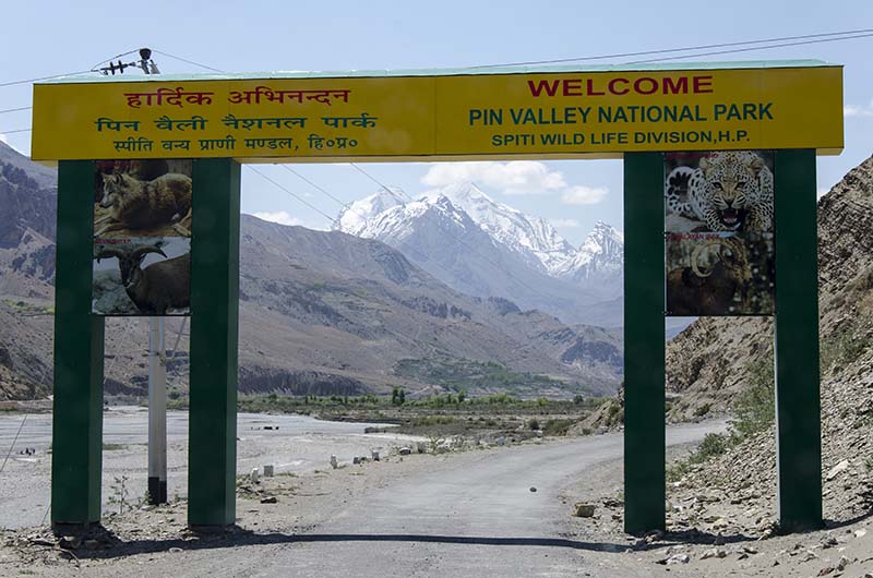 Pin Valley